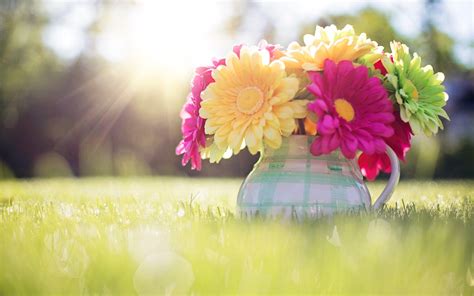 cute spring computer backgrounds|spring free backgrounds for desktop.